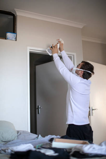 Best Real Estate Mold Inspection  in Springdale, SC