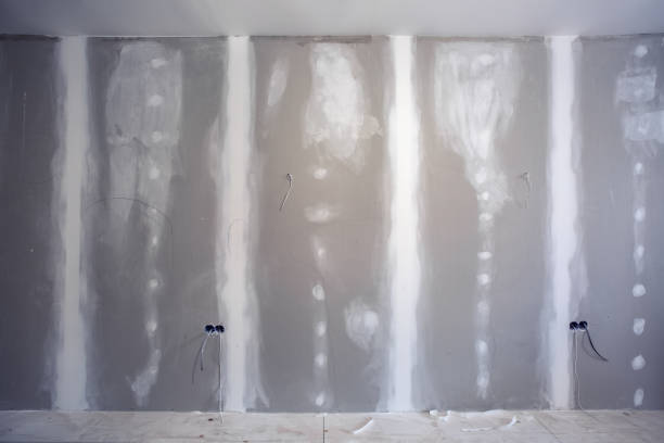 Best Mold Documentation for Insurance Claims  in Springdale, SC
